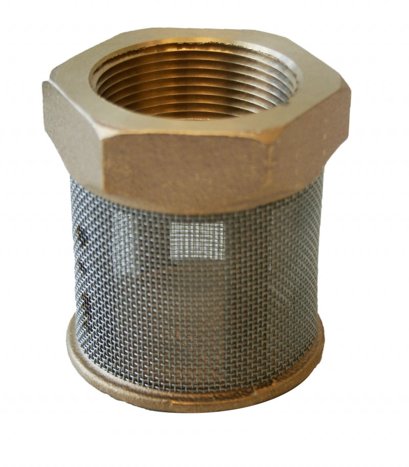 Suction Pipe Strainer, Brass