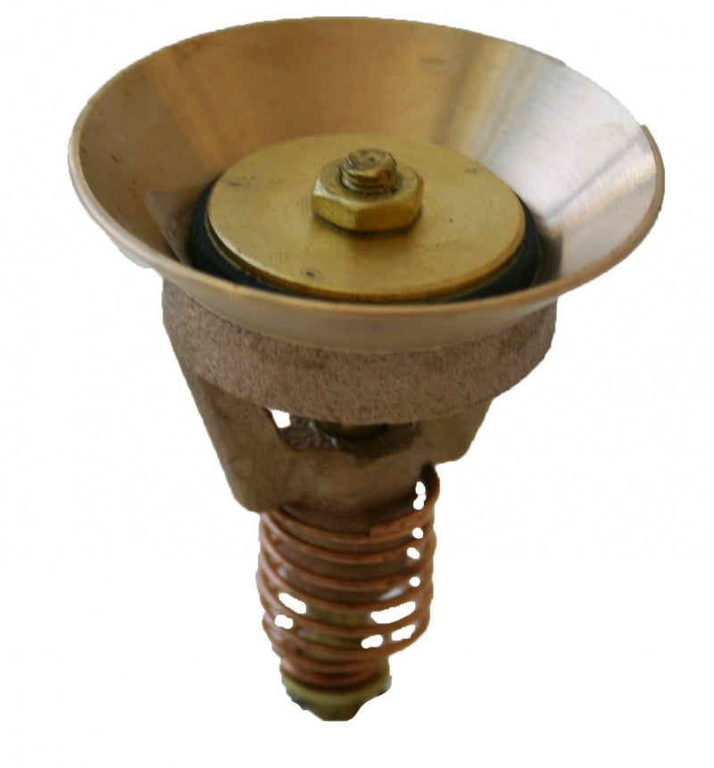 Union Check Valve (FKM)