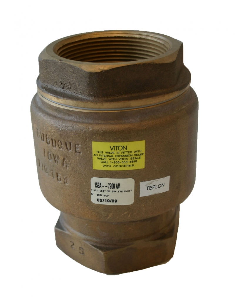 Vertical Check Valve with 25 PSI ER (PTFE)