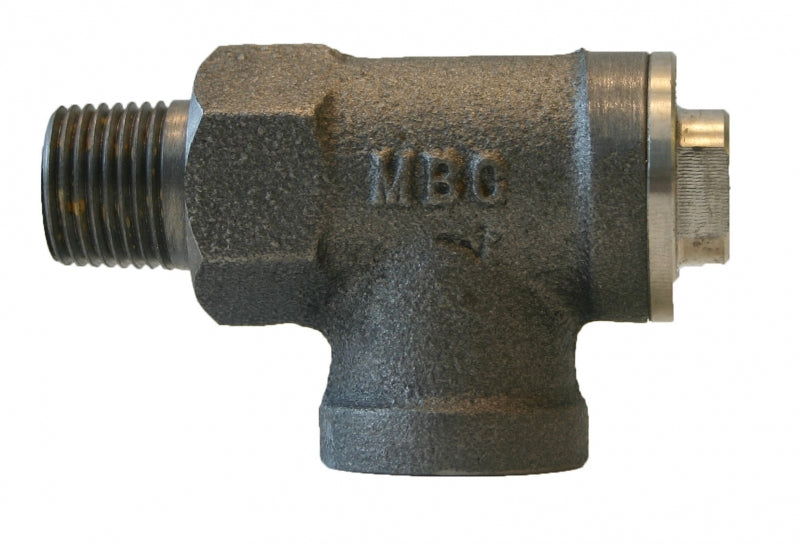 Expansion Relief Valve 25 PSI Setting